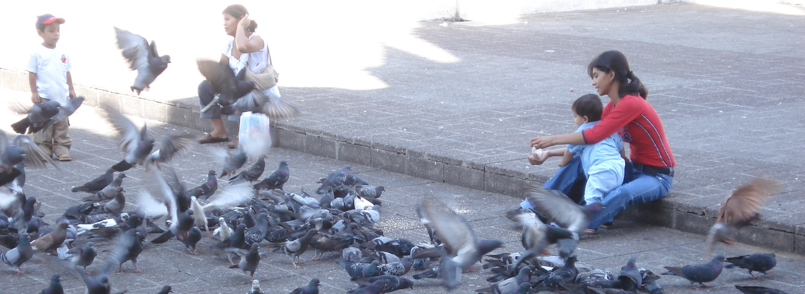 X Congreso Internacional de Geografía de América Latina